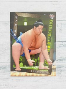 ☆ BBM2020 大相撲カード レギュラーカード 56 琴ノ若傑太 十両 ☆