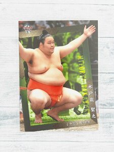 ☆ BBM2020 大相撲カード レギュラーカード 60 水戸龍聖之 十両 ☆