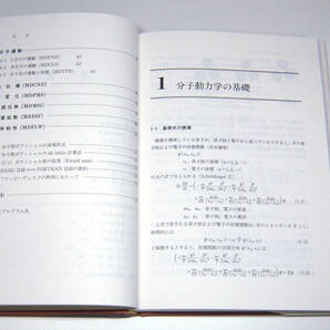 熱流体の分子動力学 (丸善株式会社 小竹進 熱流体 分子運動 熱伝導 相変化 界面伝熱 物質拡散 流体粘性 伝熱工学 シミュレーション)の画像9