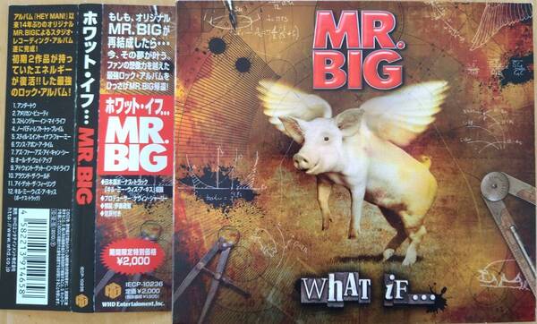 ☆即決!☆帯付良品!MR.BIG:ホワット・イフ・・・ 紙ジャケット CD