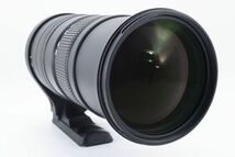 シグマ SIGMA APO 150-500mm F5-6.3 DG OS HSM NIKON ニコン_画像9