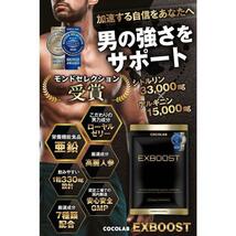 【２袋新品未開封】EXBOOST EXブースト 日本製 全7種成分配合 30日分_画像2