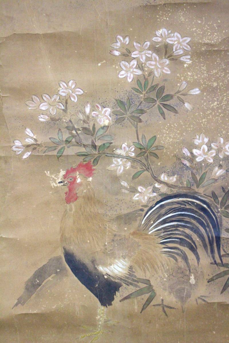 手写罕见森政平装古画挂轴茶道插花怀石春夏秋冬时期物品, 绘画, 日本画, 花鸟, 飞禽走兽