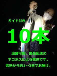 ★早く届きます！★タチウオ ウキ釣り ★ 大サバも ♪ 超軽量ロング仕掛け 10本＋必釣ガイド