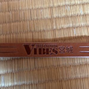 VIBES ブレスレット　2023 宮城　バイブズ　バイブス　キャラバン