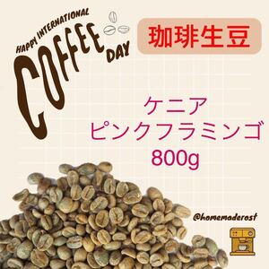  coffee raw legume kenia pink flamingo 800g