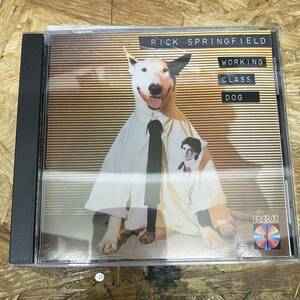 シ● ROCK,POPS RICK SPRINGFIELD - WORKING CLASS DOG アルバム,INDIE CD 中古品