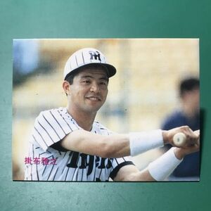 1985年　カルビー　プロ野球カード　389番　阪神タイガース　掛布　85年　地方版　関西　レアブロック　【管理685】