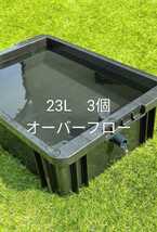 メダカ容器　23L　3個　オーバーフロー穴_画像1