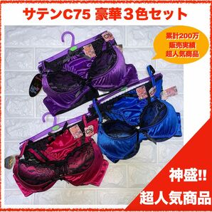 【匿名】神盛ボトムアップブラジャーC75&フルバック３色セット 3995