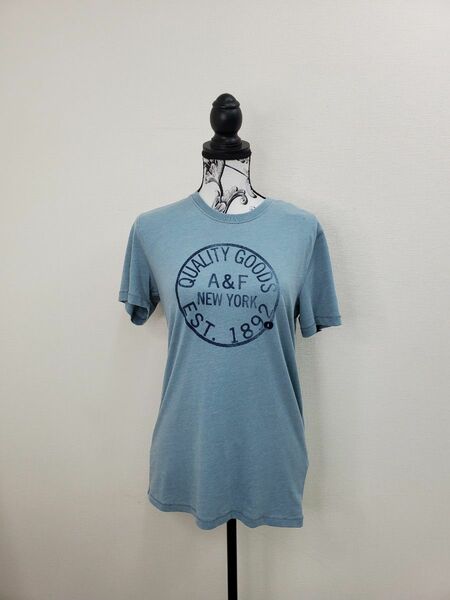 abercrombie&fitch Tシャツ