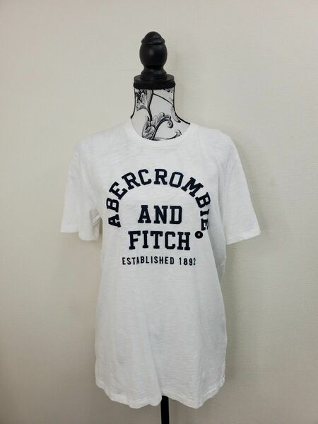abercrombie&fitch Tシャツ
