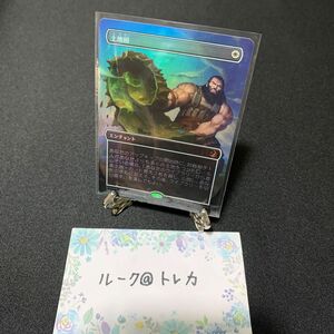 マジック：ザギャザリング MTG エルドレインの森 ボーダーレス Foil * 土地税