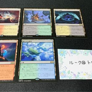 マジック：ザギャザリング MTG エルドレインの森 * 土地 5枚セット