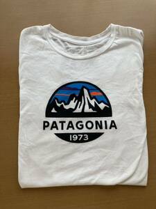 2019年 USA製 patagonia S/S TEE Msize 半袖Tシャツ パタゴニア