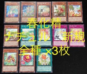 春化精 デッキパーツ 全種　+ 新規ナチュル　他関連カード　マドルチェ　ウォークライ　アマゾネス　磁石　イシズ　アダマシア