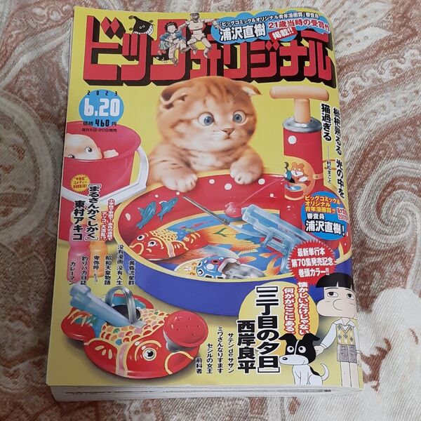 ビッグコミックオリジナル ２０２３年６月２０日号 （小学館）