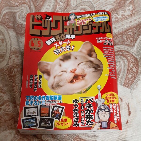 ビッグコミックオリジナル ２０２３年６月５日号 （小学館）