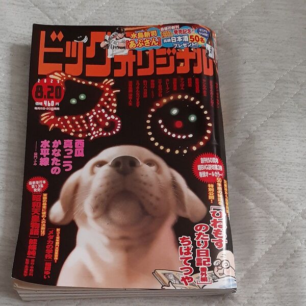 ビッグコミックオリジナル ２０２３年８月２０日号 （小学館）