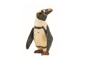 キタンクラブ はしもとみおの彫刻 マリンワールド海の中道 ケープペンギン