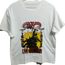 VAN HALEN ヴァンヘイレン　バンドTシャツ　バックプリントあり　Lサイズ　1991TOUR ガンズアンドローゼズ Guns N' Roses NIRVANA_画像1