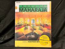 【値下セール】VHD 希少品 レア RAKUEN MAHARAJA 楽園 三好和義 当時物 ビデオディスク_画像1