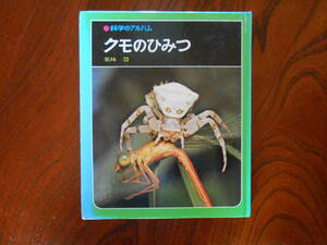 T-１◆科学のアルバム　　クモのひみつ
