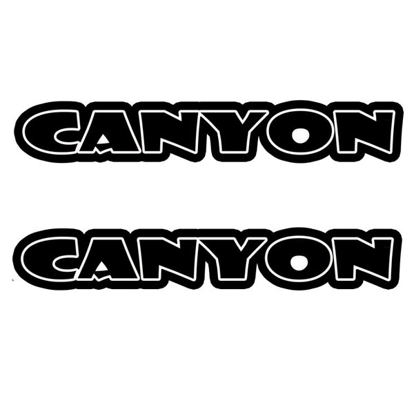 (D1) カッティングシート CANYON キャニオン 2枚セット ステッカー