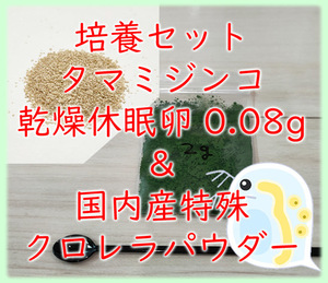 ★培養セット★国産クロレラパウダー付き タマミジンコ 乾燥休眠卵 約20000粒 1カプセル (約0.08g)