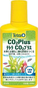  Tetra (Tetra) Tetra CO2 plus 250ml postage nationwide equal 520 jpy (4 piece till including in a package possibility )