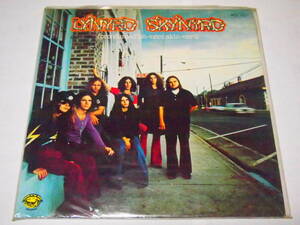 レア 送料無料 洋楽レコード Lynyrd Skynyrd レーナードスキナード pronounced'leh-nerd'Skin-nerdAin’t the One Simple MAnなど 