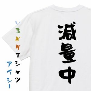 デブ系半袖Tシャツ【減量中】おもしろTシャツ　ネタTシャツ