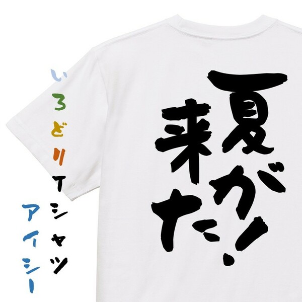 夏系デザインTシャツ【夏が来た！】おもしろTシャツ　ネタTシャツ