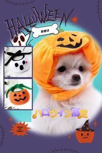 【ハロウィン限定グッズ】ペット用帽子　かぼちゃ帽子　おまけバンダナ付き