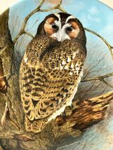 【航空便送料無料】英国 ヴィンテージ コールポート(ウェッジウッドに統合）1990年　限定生産　The Wise Owl フクロウ 飾り皿 プレート 4枚_画像9