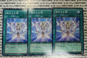 遊戯王 進化する翼(ノーマル DP1)×3枚セット