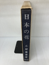 日本の花 (1967年) 主婦の友社 小原 豊雲_画像2