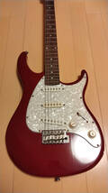 PEAVEY RAPTOR CUSTOM_画像2