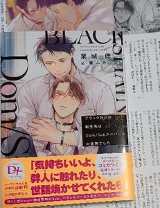 8月新刊 IC+SS+帯付「ブラック社員の転生先はＤｏｍ/Ｓｕｂユニバースの世界でした」栗城偲/篁ふみ