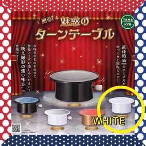 【WHITE】のみ　　魅惑のターンテーブル　ガチャ　単品　新品未使用