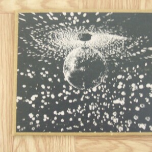 《CD》ニール・ヤング / MIRROR BALL