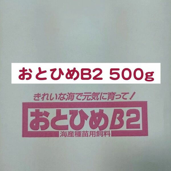 日清丸紅飼料 おとひめB2 500g メダカ 熱帯魚 金魚 グッピー ※送料無料※