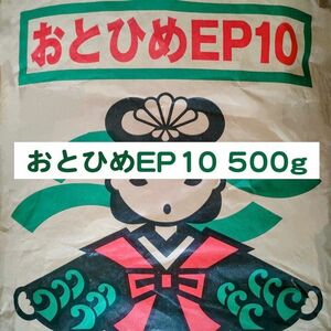 日清丸紅飼料 おとひめEP10 500g ※送料無料※