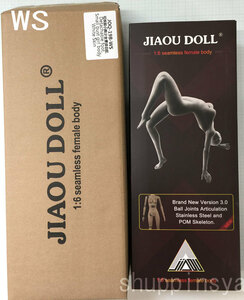 JIAOUDOLL JOQ-19B ガールボディ WS（白肌） 1/6スケール 女性ボディ素体 デッサン人形 1/6 Super Flexible Female Seamless Body 