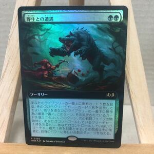 MTG【Foil】(356)■拡張アート■《野生との遭遇/Feral Encounter》[WOE-BF] 緑R 日本語版 エルドレインの森