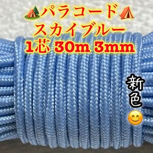 ☆★パラコード★☆1芯 30m 3mm☆★45番★手芸とアウトドアなど用★
