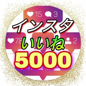 【おまけ Instagram いいね 5000回】Instagramのサイトをお渡しします　インスタグラムでいいねが増加します　宣伝　follower a