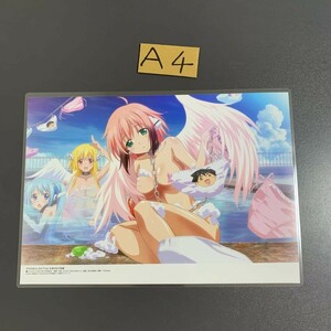 そらのおとしもの　Fate プリズマイリヤ　ラミネート　A4サイズ　加工品　Dろは