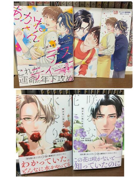 咲かない花に水やり 上下 あかねくんディステニー 特典つき