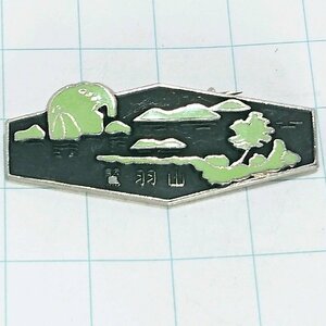 送料無料)鷲羽山 ご当地 観光地 登山 山登り 旅行 記念 山バッジ ピンバッジ PINS ピンズ A19588